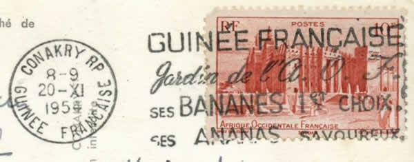 Guinée Bananes Ananas