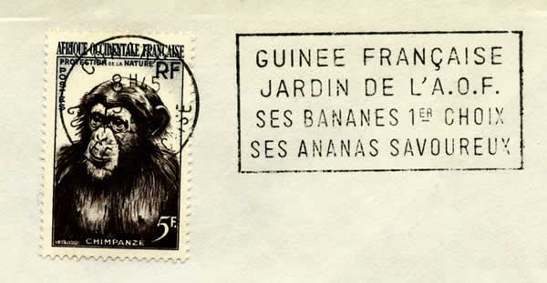 Guinée jardin AOF