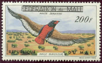 Oiseau 200F surchargé