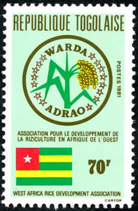 developpement de la riziculture