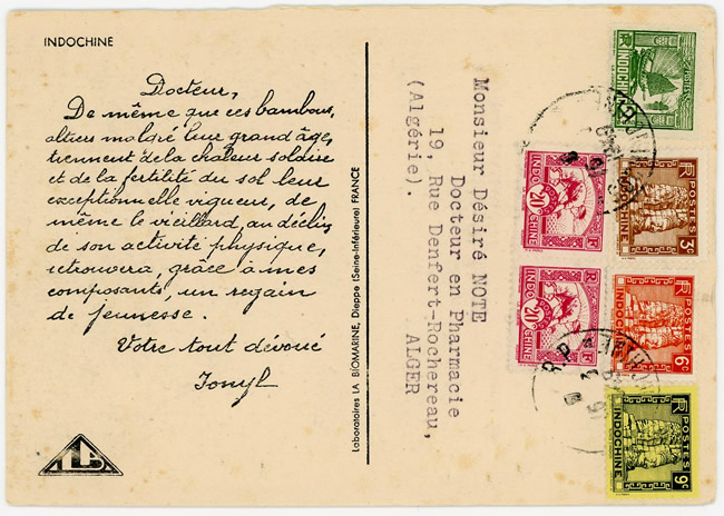 verso