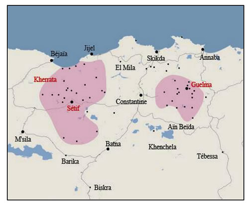 Carte indiquant les villes de Setif Guelma et Kherrata